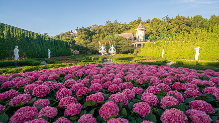 Giải nhất hạng mục cảnh quan