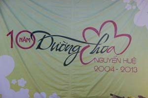 Đường hoa Nguyễn Huệ Xuân Quý Tỵ 2013