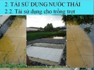Sinh hoạt học thuật Khoa Kỹ thuật đô thị